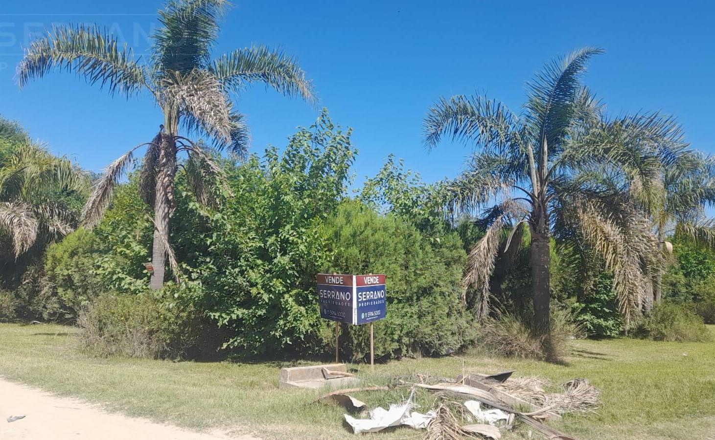 Foto de Venta de Terreno con mejoras 706,38 m2, calle Moreno al 600, parque, imagen 2