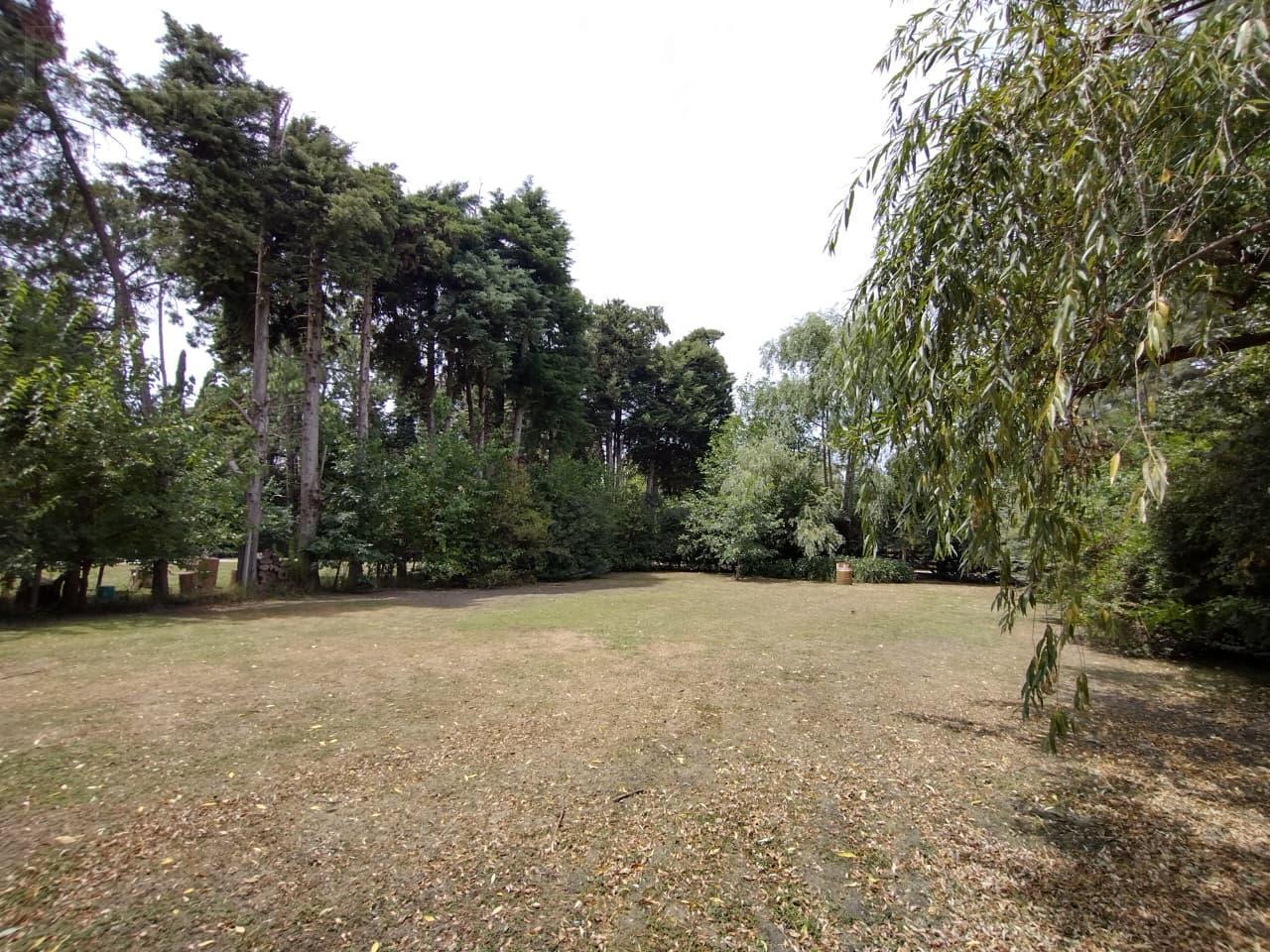Foto de Venta Terreno de 760m2, parquizado, gas natural, Larreta al 300, imagen 4