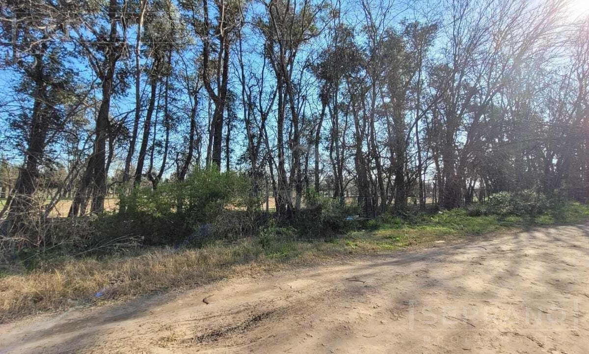 Foto de Venta Fraccion Terreno en Estancias del Pilar, Pilar, imagen 1