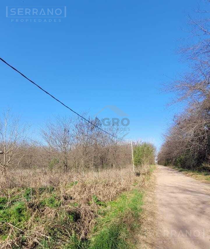 Foto de Venta Fraccion Terreno en Estancias del Pilar, Pilar, imagen 4