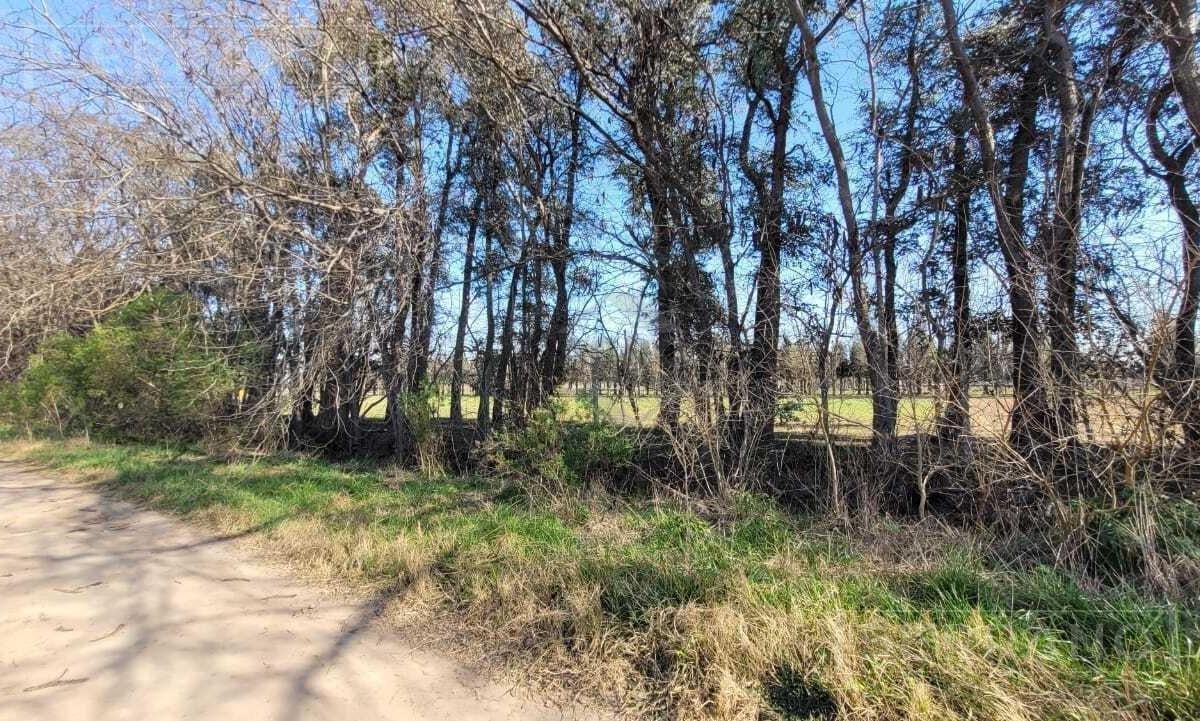 Foto de Venta Fraccion Terreno en Estancias del Pilar, Pilar, imagen 2