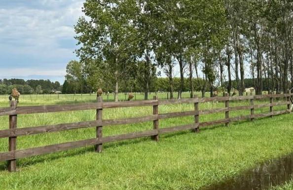 Foto de Venta 1 Hectárea, en la Macarena polo, Capilla del Señor, imagen 1