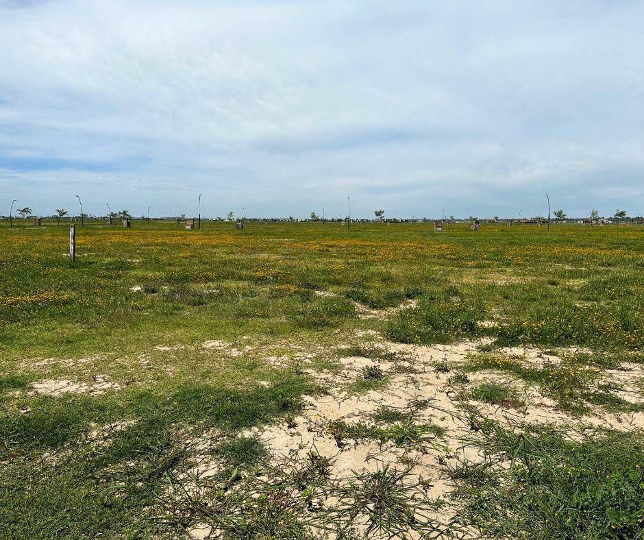 Foto de Lote en venta en Amarras, Puertos del Lago. Escobar, imagen 4