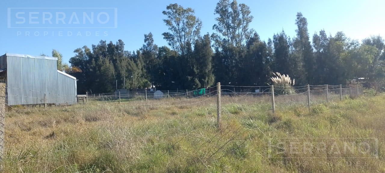 Foto de Venta lote 848 M2 en la Pista, Ingeniero Maschwitz, Escobar, imagen 2