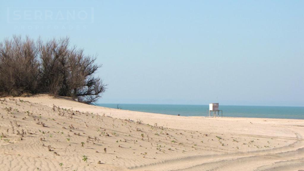 Foto de Venta fraccion 1 hectarea en Villa Gesell, imagen 5