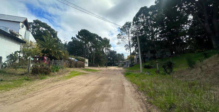 Foto de Venta fraccion 1 hectarea en Villa Gesell, imagen 2