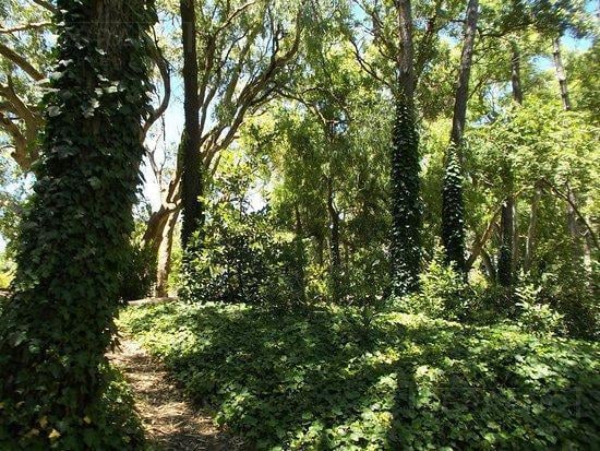 Foto de Venta fraccion 1 hectarea en Villa Gesell, imagen 1
