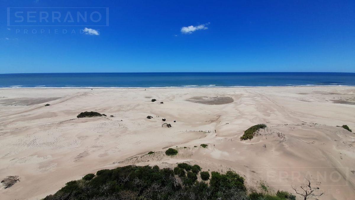 Foto de Venta fraccion 1 hectarea en Villa Gesell, imagen 4