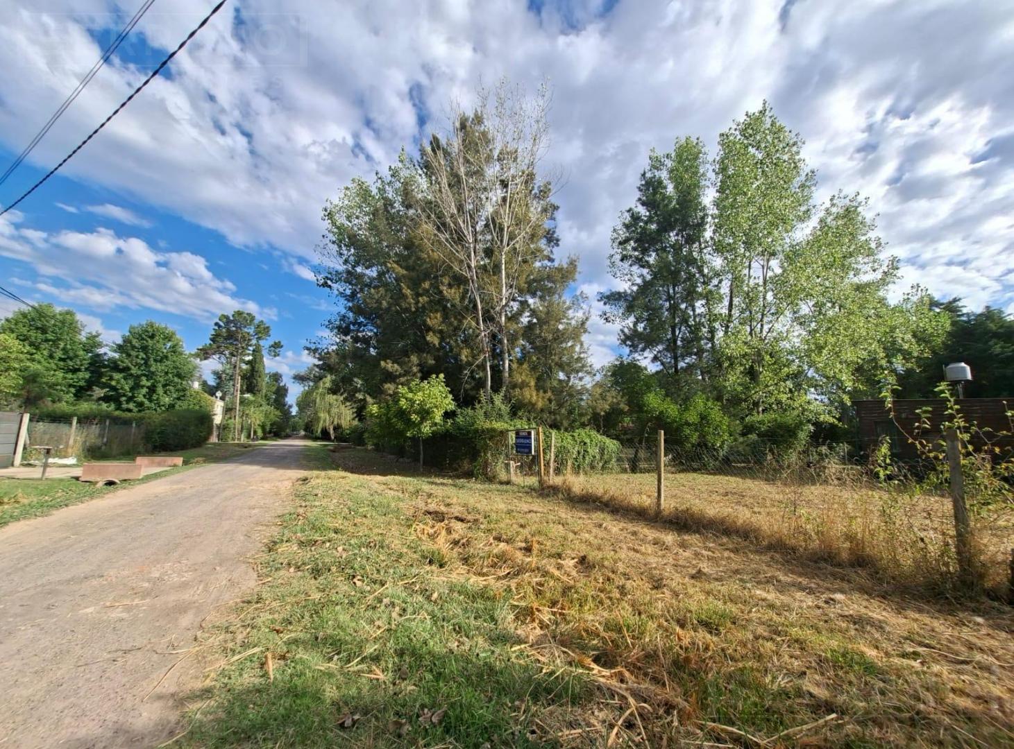 Foto de Venta Terreno con mejoras, 730 m2, calle J. Ingenieros al 700, P, imagen 3