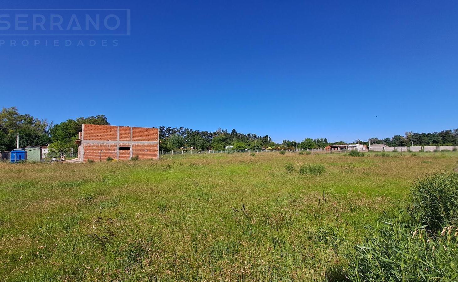 Foto de Venta Lote Terreno 1500 m2 con mejoras Parque Robles, Exaltacion de la, imagen 4