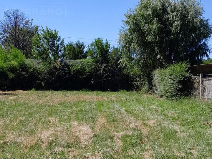 Foto de Venta terreno 740 m, Parque Sakura, calle Sanchez al 600, Exaltacion de, imagen 4