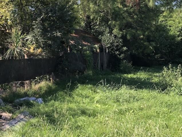 Foto de Excelente Lote en Venta de 1130 m2 en Paso del Rey, imagen 3