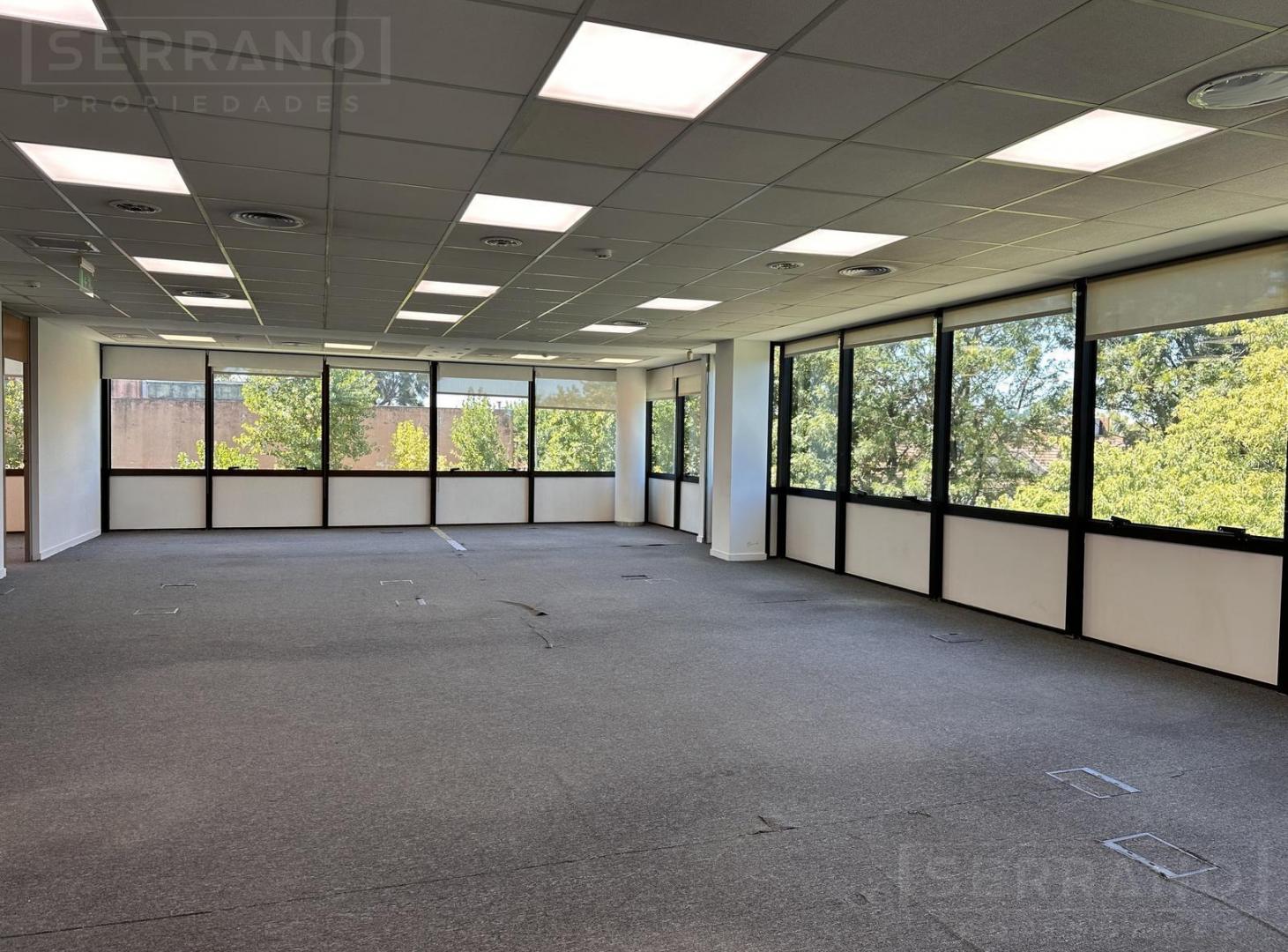 Foto de Oficina en alquiler en planta baja de 278m2 con 5 cocheras en Martínez, imagen 4