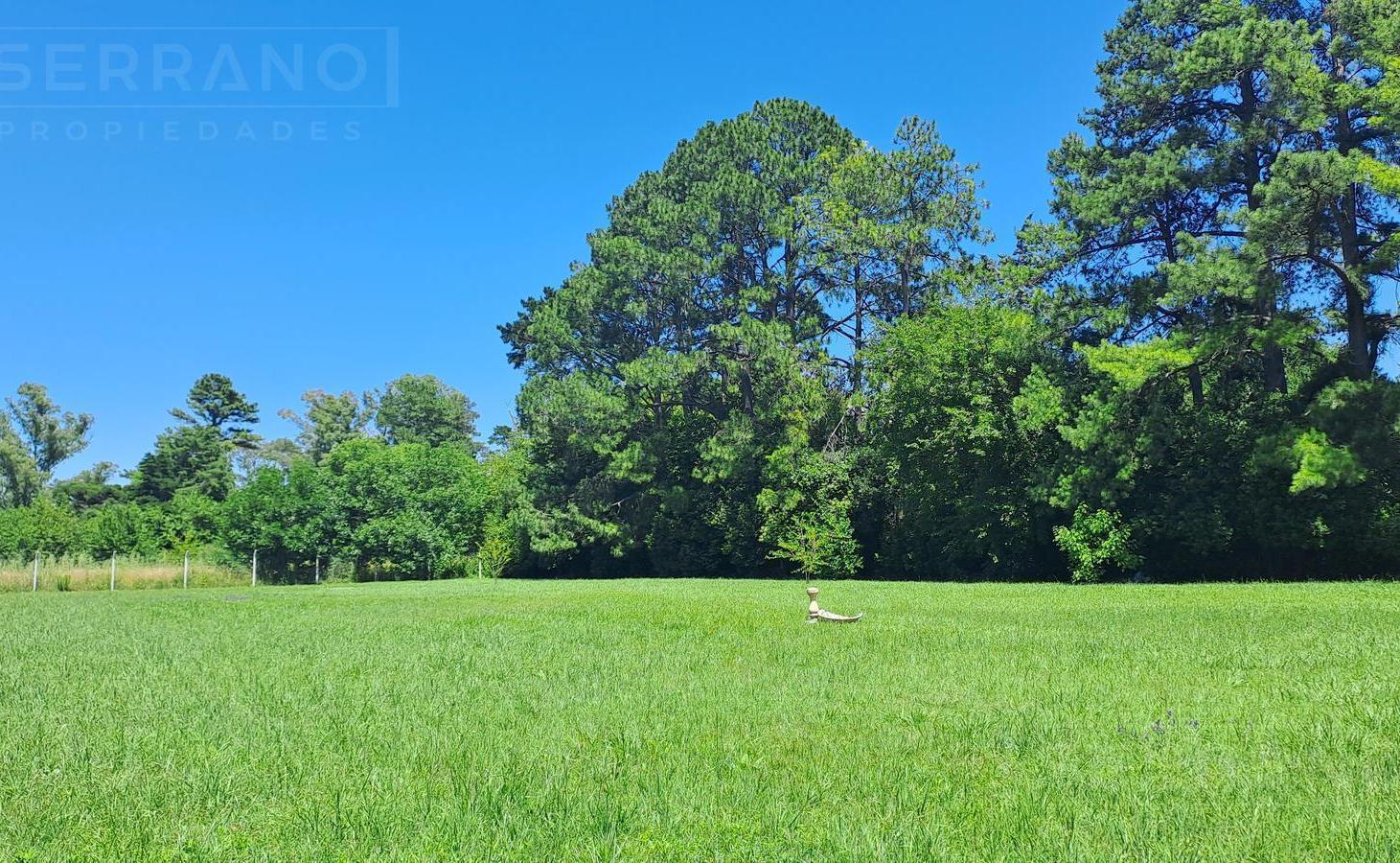 Foto de LDO Venta Lote 3183m2 subdividible con mejoras. El Remanso, imagen 3