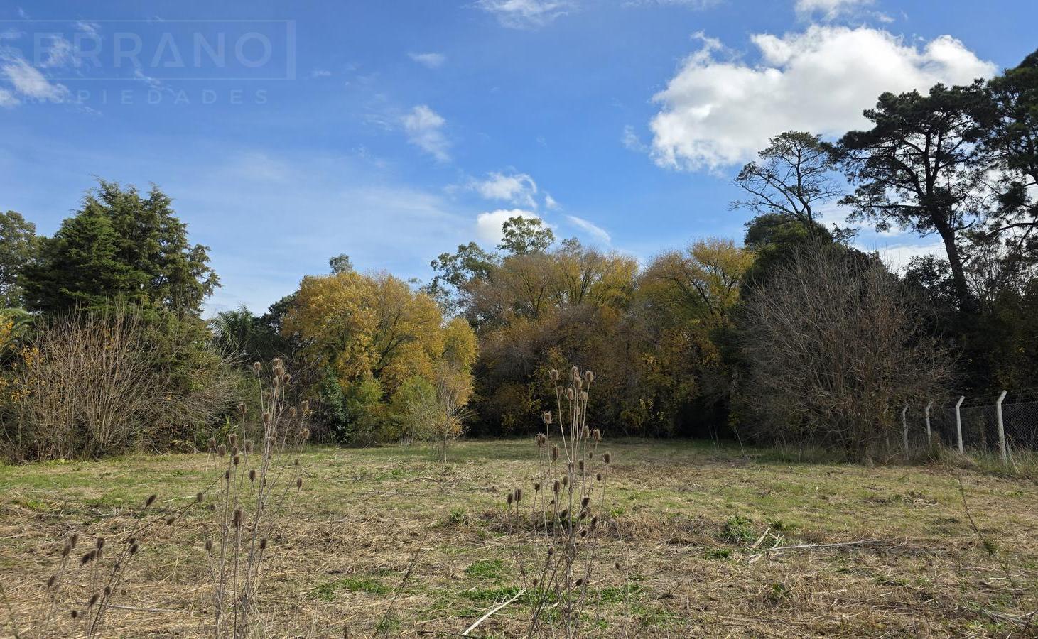 Foto de LDO. Venta Terreno Arbolado 3187m2 El Remanso Exaltación de la Cruz, imagen 1