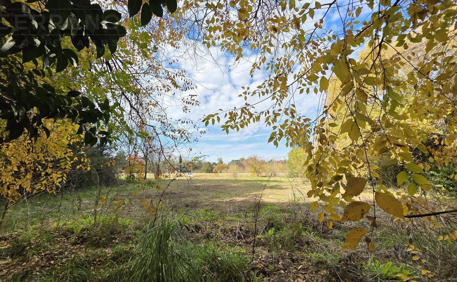 Foto de LDO. Venta Terreno Arbolado 3187m2 El Remanso Exaltación de la Cruz, imagen 3