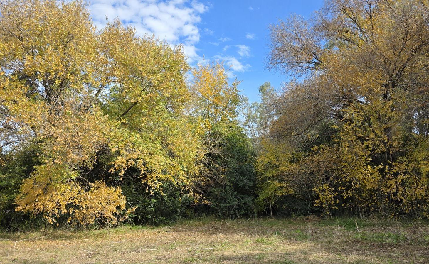 Foto de LDO. Venta Terreno Arbolado 3187m2 El Remanso Exaltación de la Cruz, imagen 2