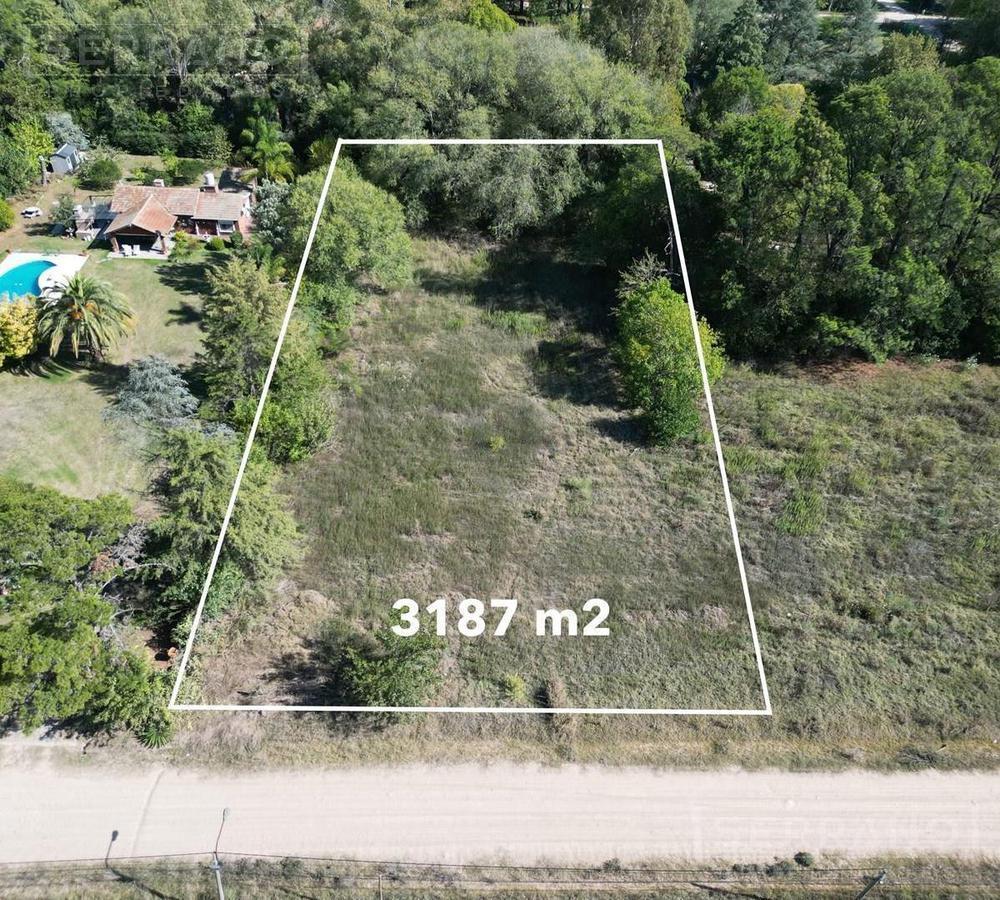 Foto de LDO. Venta Terreno Arbolado 3187m2 El Remanso Exaltación de la Cruz, imagen 5