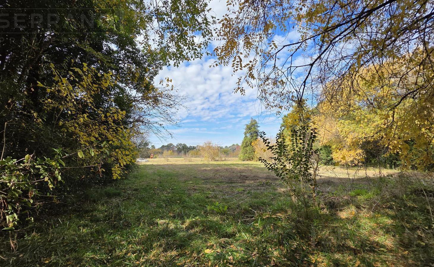 Foto de LDO. Venta Terreno Arbolado 3187m2 El Remanso Exaltación de la Cruz, imagen 4