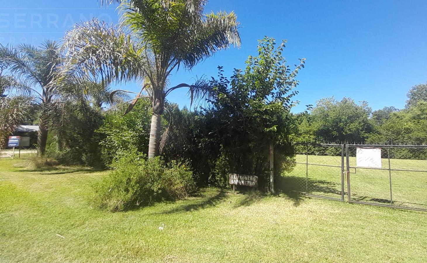 Foto de Venta de Terreno con mejoras 730 m2, calle Moreno al 600, parque, imagen 3