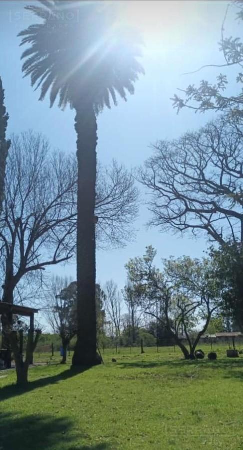 Foto de Venta Campo 7has apto loteo en el Barrio El Cazador, Escobar, imagen 3