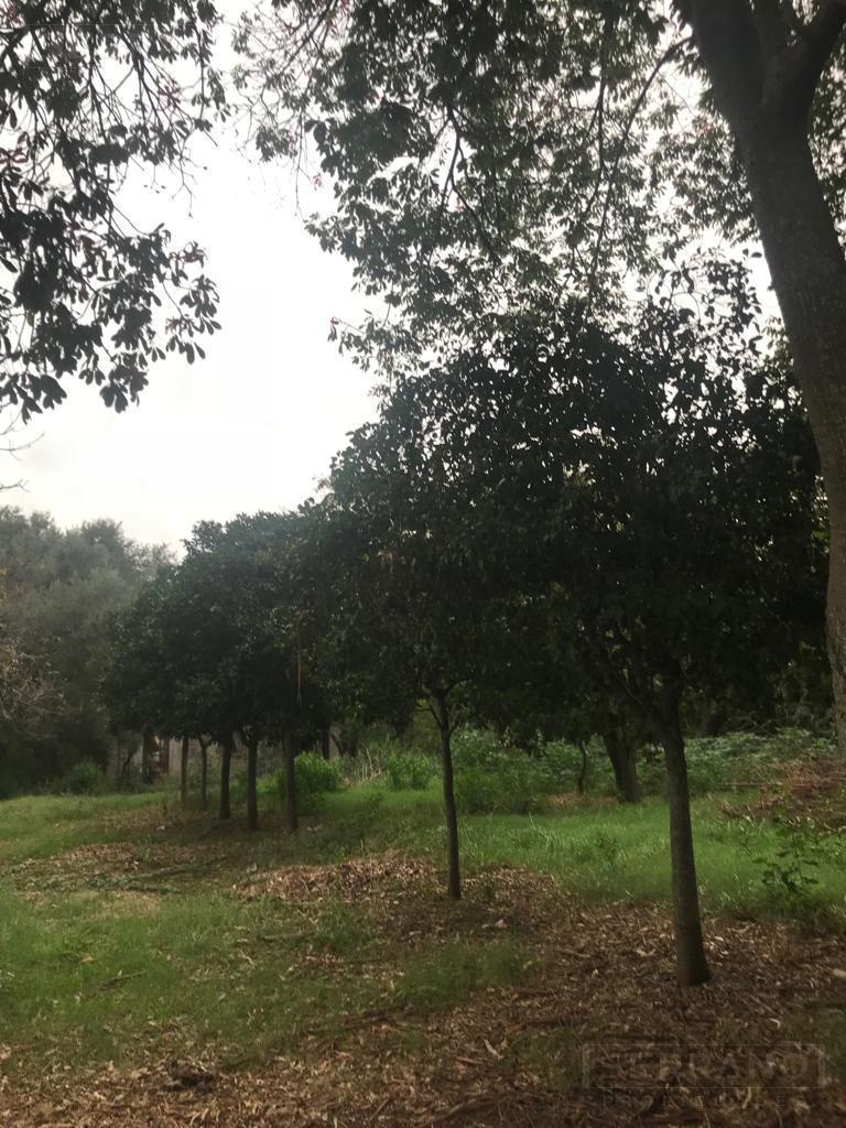 Foto de Venta campo agrícola ganadero con mejoras de 32 has. Zarate, imagen 3