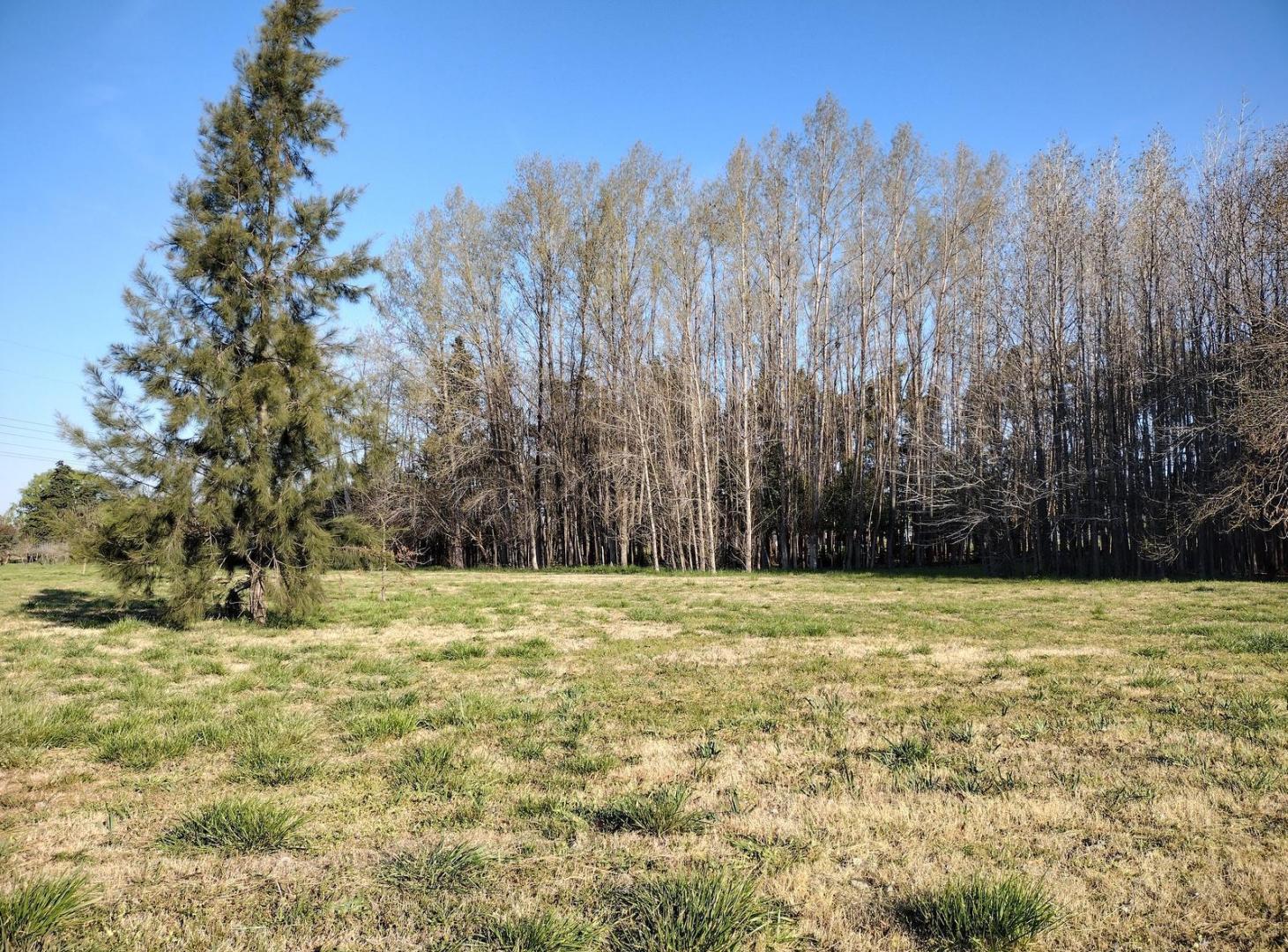 Foto de Venta. Lote 4.200 M2. Parque Industrial. Parada Robles. Exaltación de, imagen 5