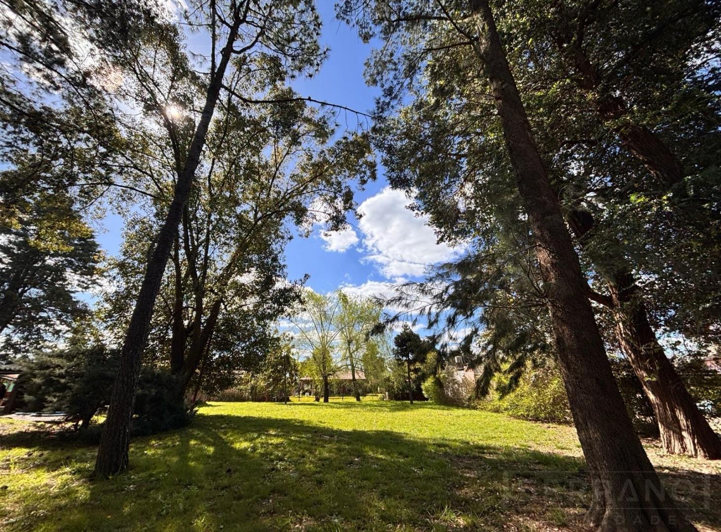 Foto de Terreno en venta 760m2 con mejoras, Barrio abierto Parque Sakura, imagen 3