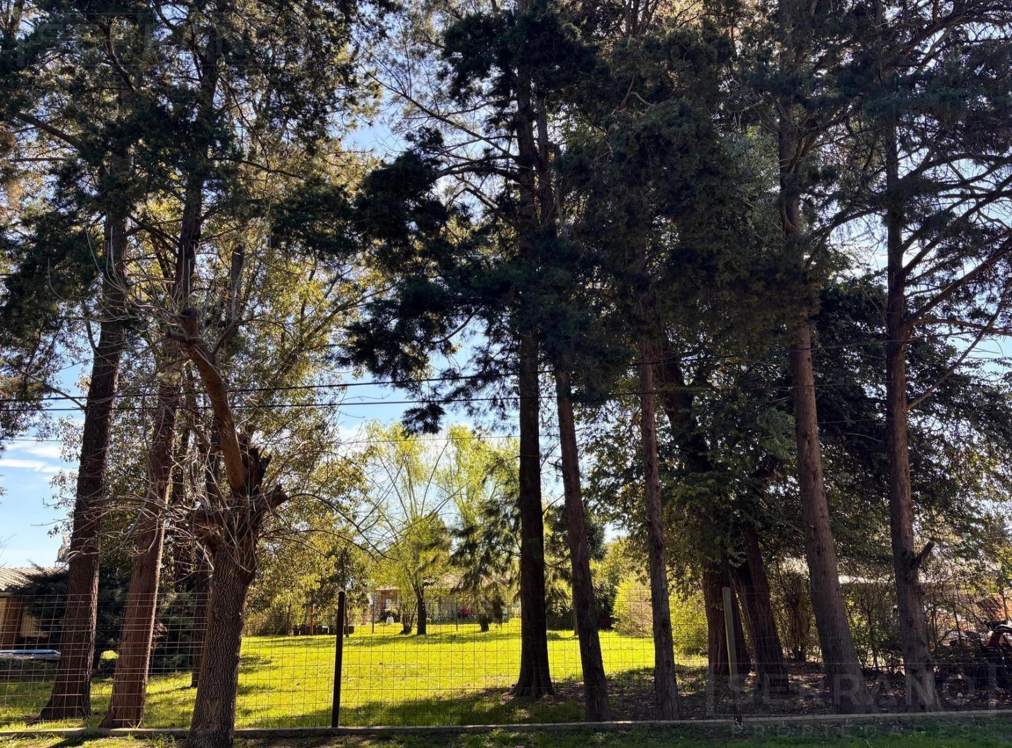 Foto de Terreno en venta 760m2 con mejoras, Barrio abierto Parque Sakura, imagen 5