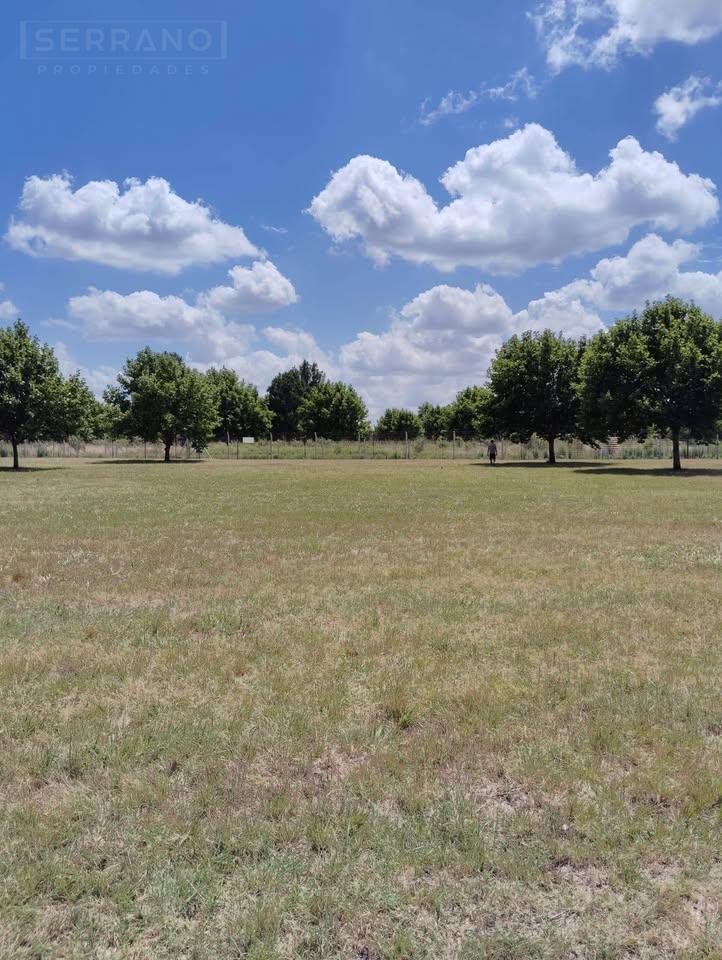 Foto de Terreno en Alto los Cardales, imagen 3