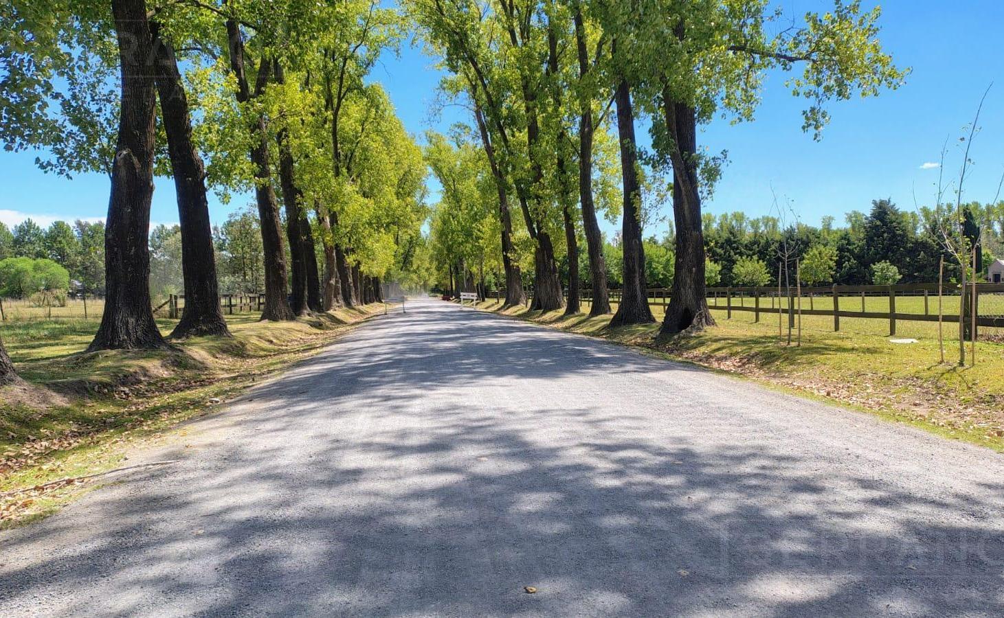 Foto de Venta Terreno 5000m2 en Haras El Malacate. Exaltacion de la Cruz, imagen 4