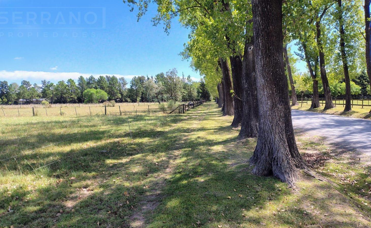Foto de Venta Terreno 5000m2 en Haras El Malacate. Exaltacion de la Cruz, imagen 5
