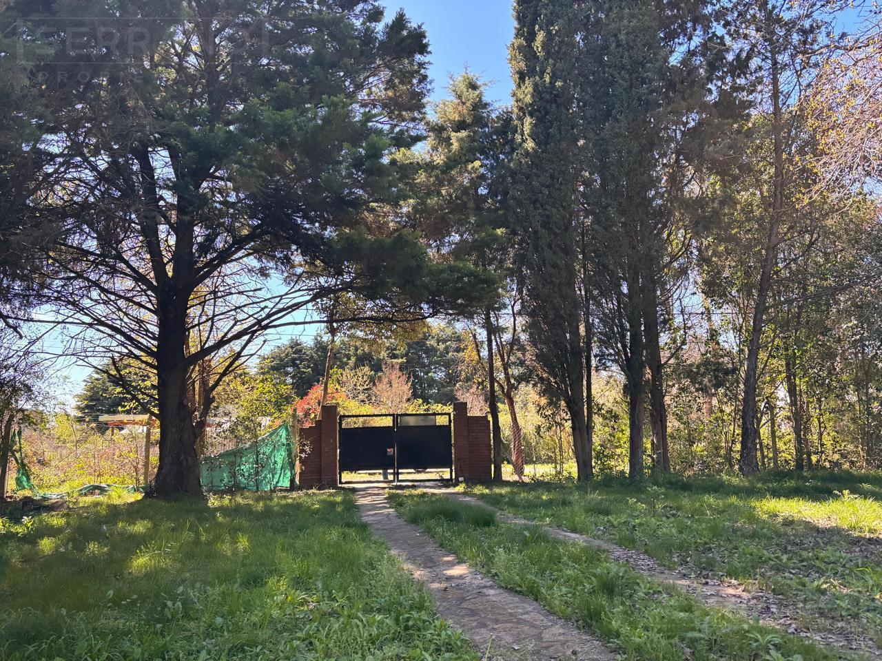 Foto de Venta lote 730m2 con gas natural, calle Esteban Echeverría al 500, imagen 5