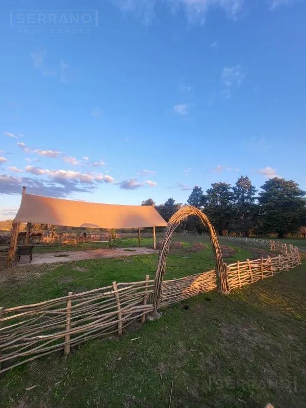 Foto de Venta Campo 40 Ha en Lima Zarate, imagen 5