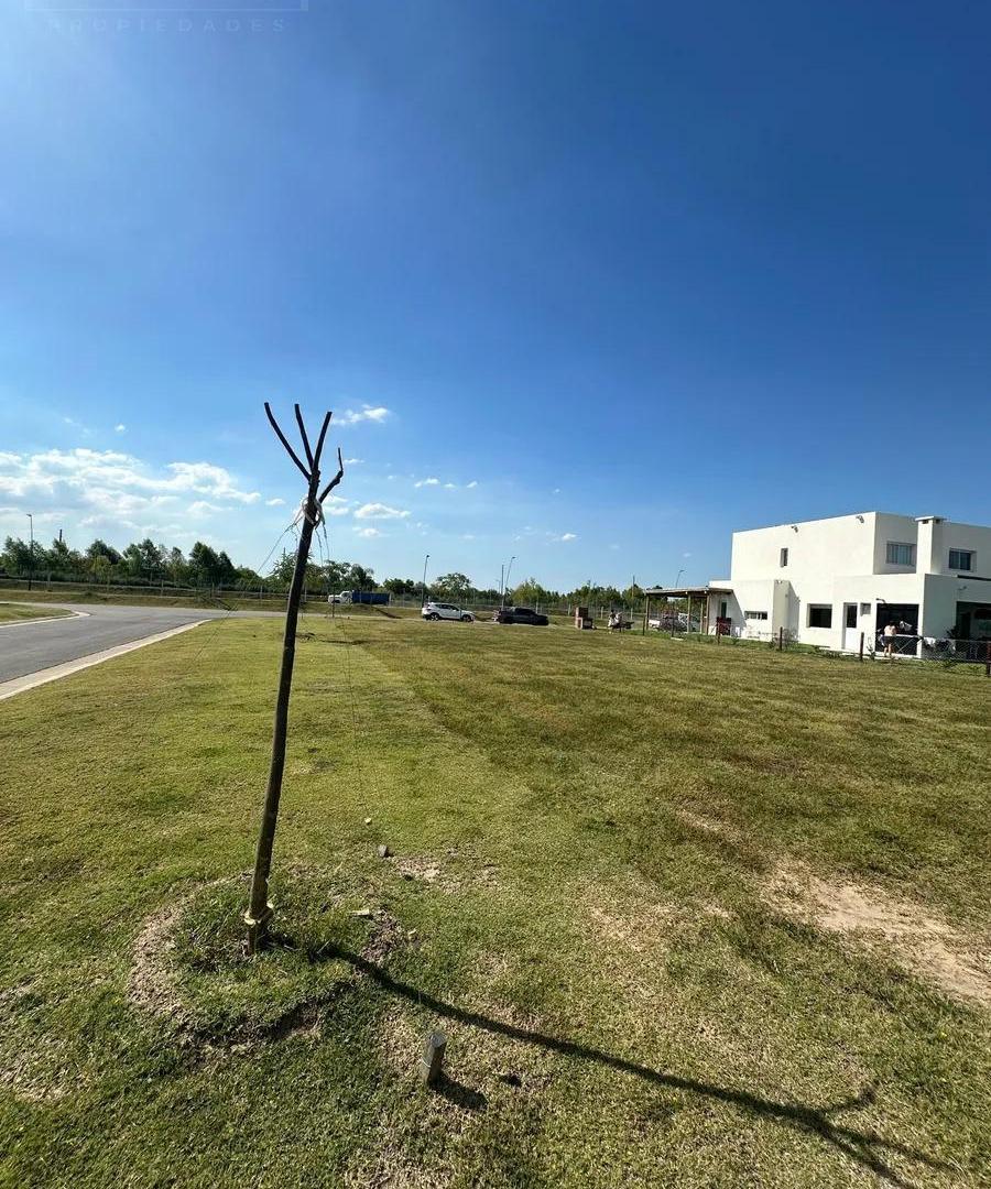 Foto de Venta Terreno en Puertos del Lago, Amarras, imagen 3