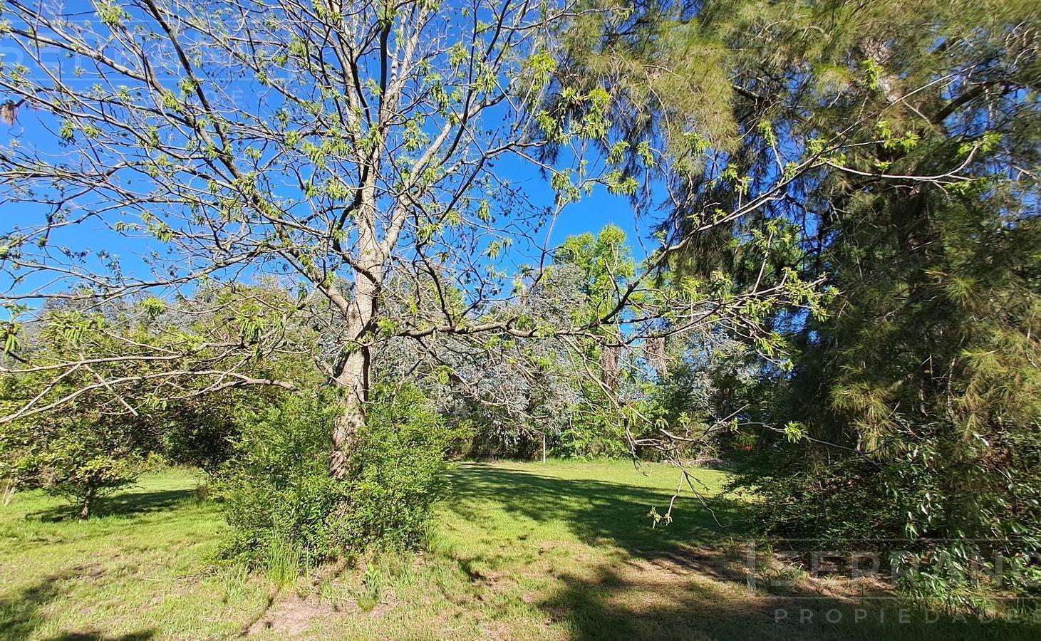 Foto de Venta. Lote Terreno 1592 M2. Barrio Parque El Remanso. Exaltación de la, imagen 5
