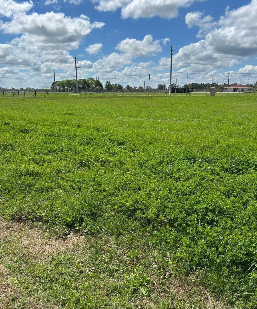 Foto de Venta lote, con posibilidad de financiación, 360m2, Barrio el, imagen 4