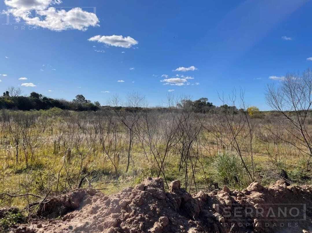 Foto de Terreno Campo en Venta en Loma Verde, Escobar, G.B.A. Zona Norte, imagen 2