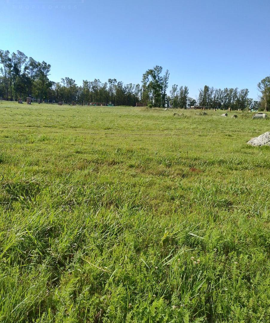 Foto de Venta Lote en Santa Sofia Pilar del Este., imagen 5