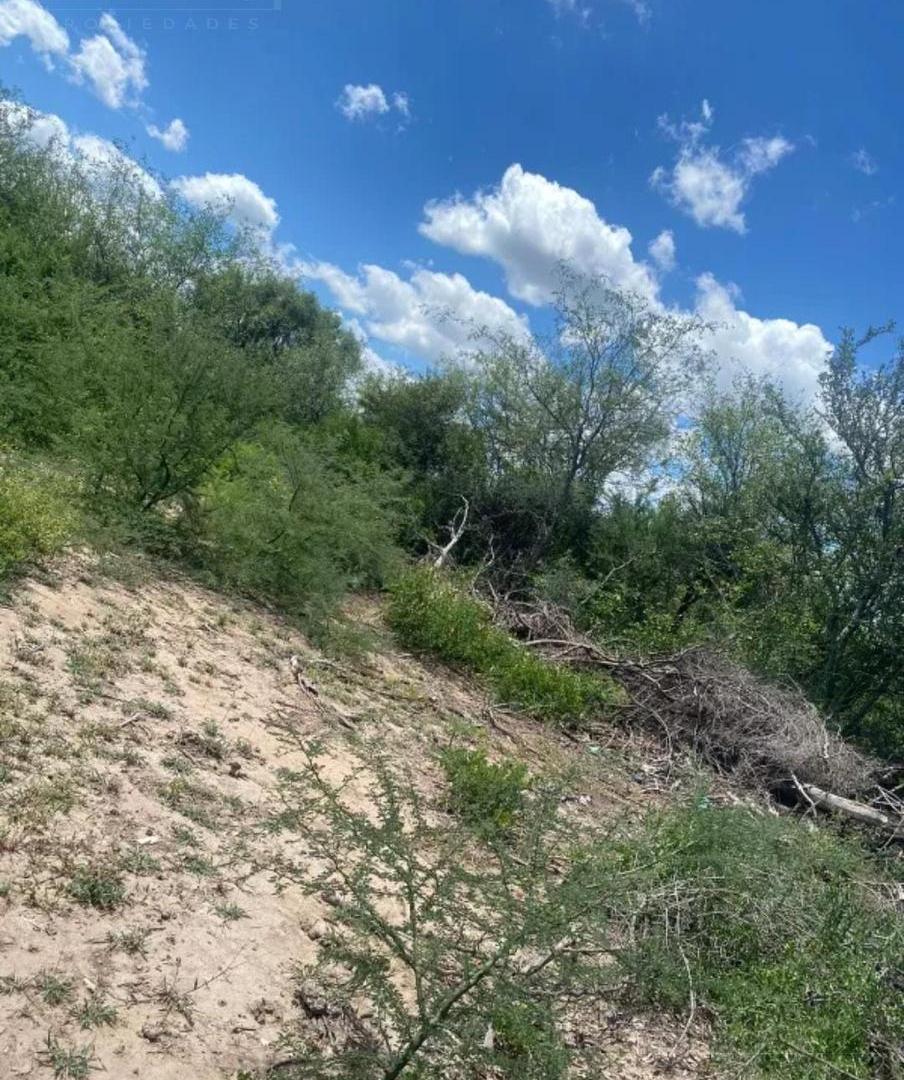 Foto de Venta Campo 500 ha en Lugones, Santiago del Estero, imagen 4