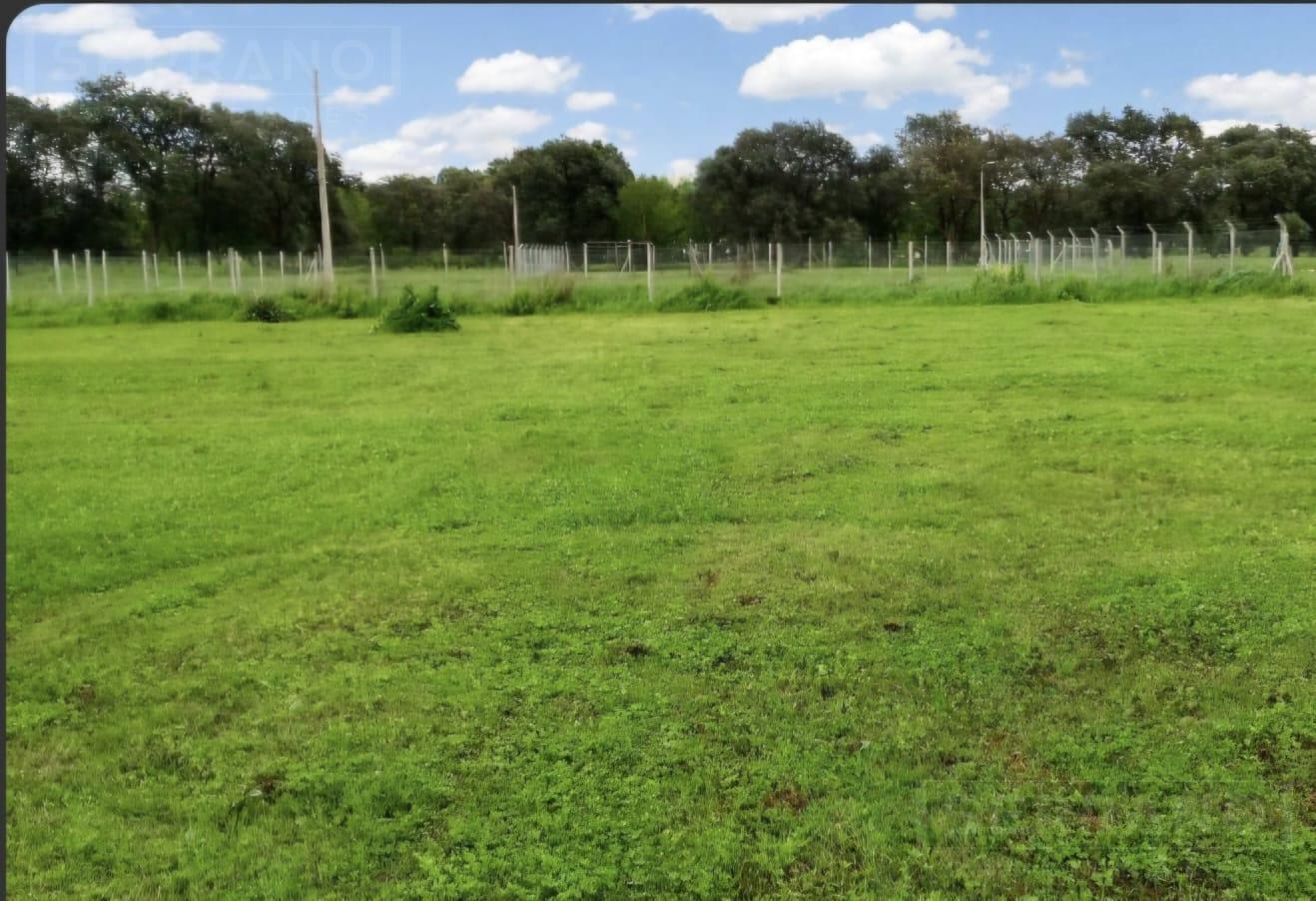 Foto de Venta Terreno de 1600m2 con mejoras, Parque Sakura II, Exaltación de la, imagen 1