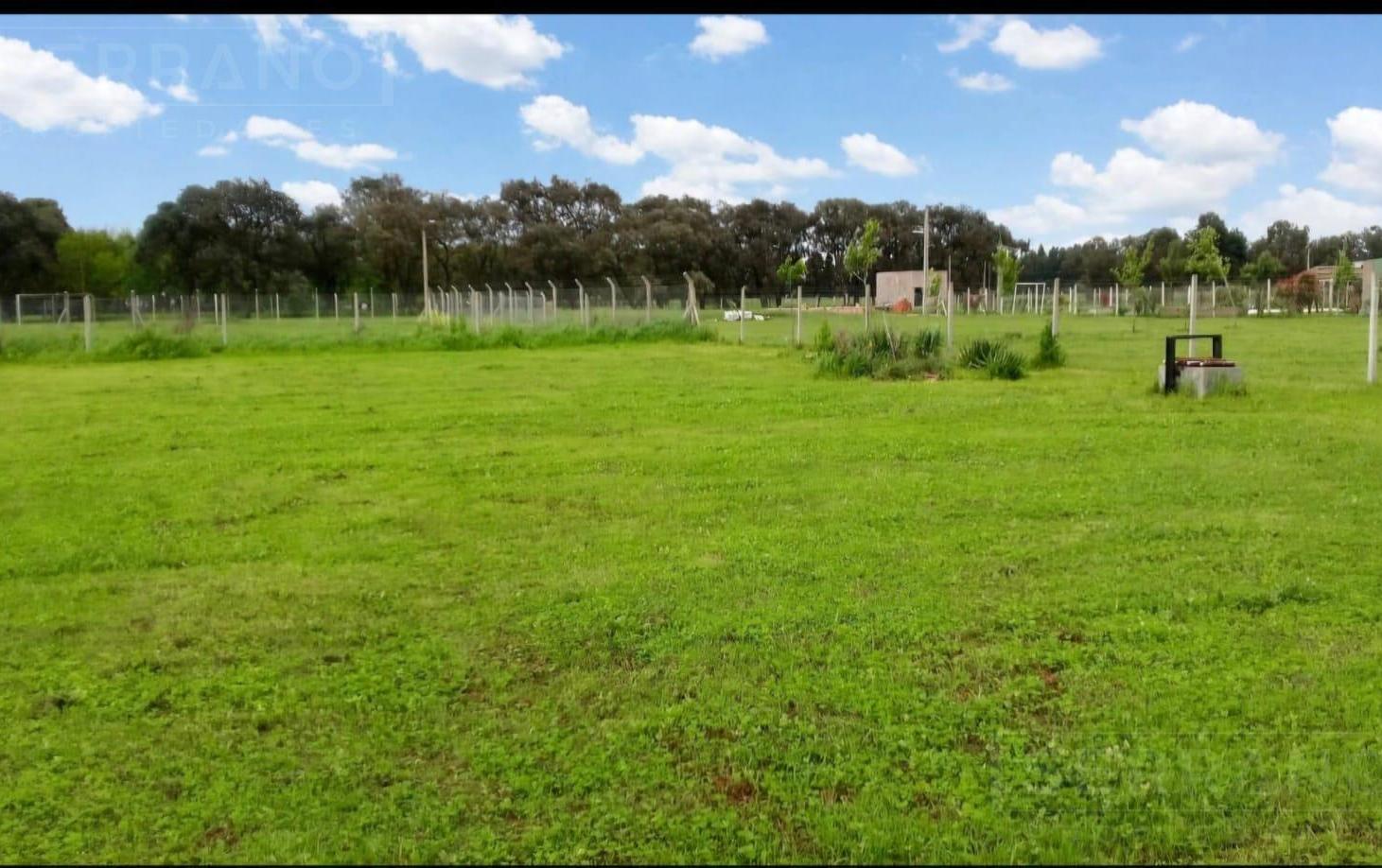 Foto de Venta Terreno de 1600m2 con mejoras, Parque Sakura II, Exaltación de la, imagen 4