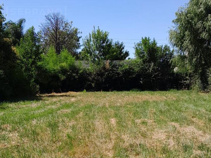 Foto de Venta terreno 740 m, Parque Sakura, calle Sanchez al 600, Exaltacion de, imagen 3