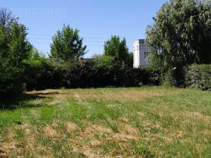 Foto de Venta terreno 740 m, Parque Sakura, calle Sanchez al 600, Exaltacion de, imagen 2