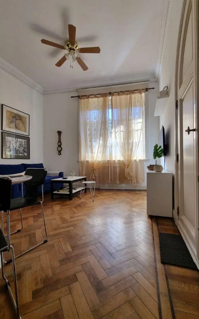 Depto apto consultorios 80 m2 con 2 dormitorios en alquiler en Recoleta 2