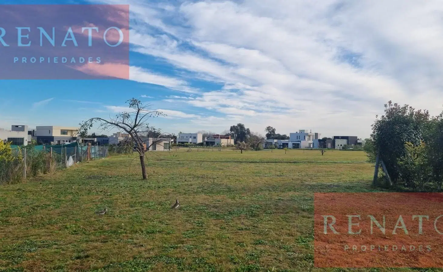 EXCELENTE LOTE CENTRAL CON FONDO VERDE - BARRIO SANTA LUCIA - PILAR DEL ESTE 5