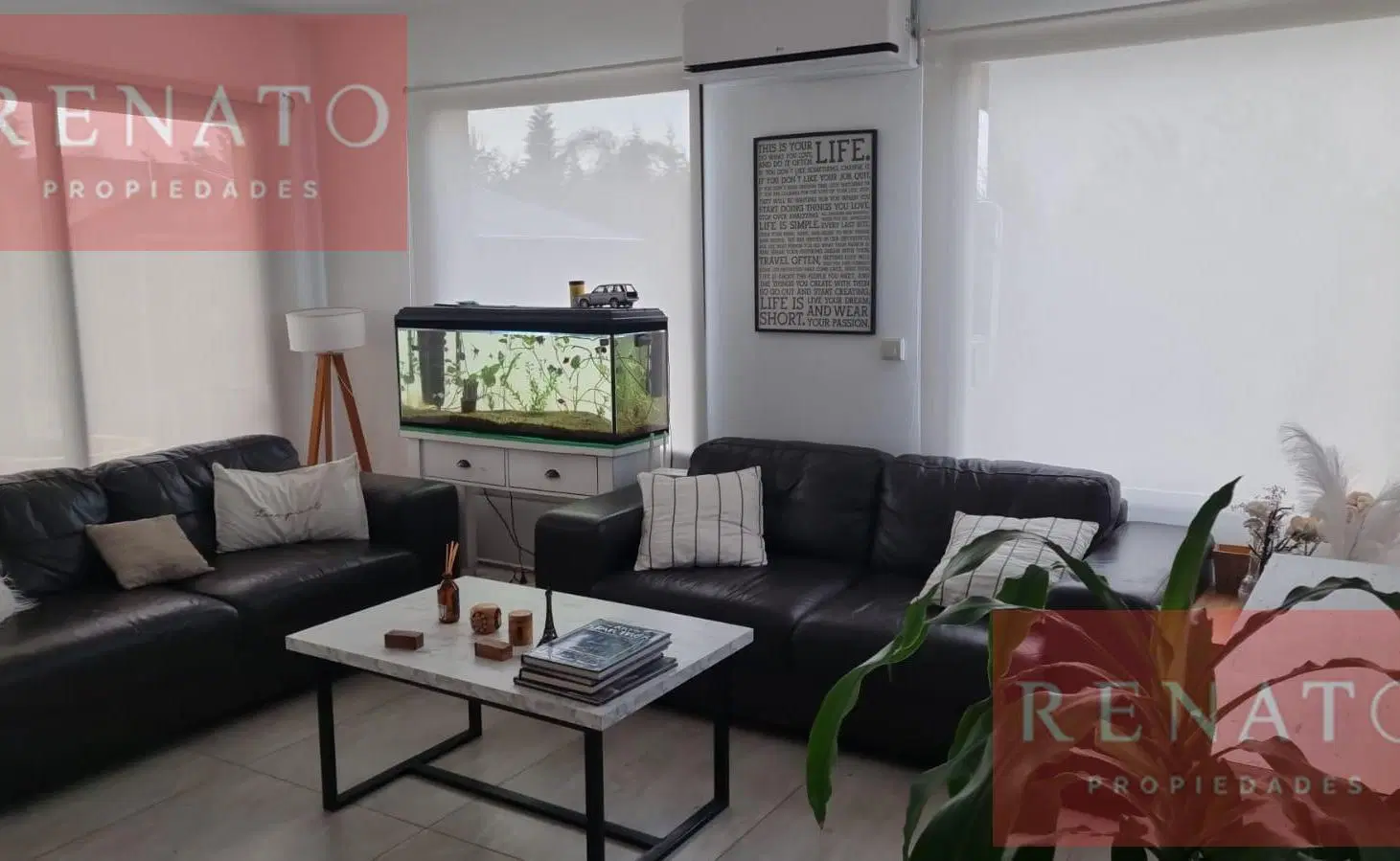 HERMOSA CASA 5 DORMITORIOS - PILAR DEL ESTE 3