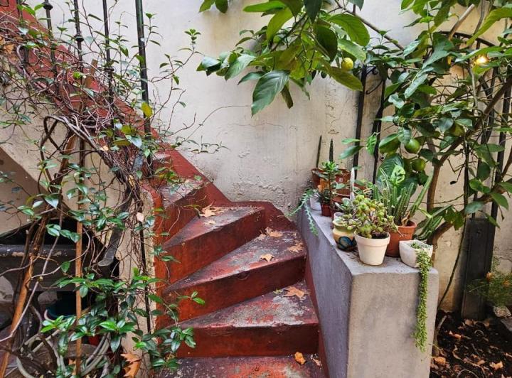 Casa a reciclar en  Almagro lote propio 3