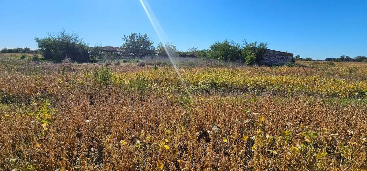 Venta Campo en Navarro  32 Has.  OPORTUNIDAD 4