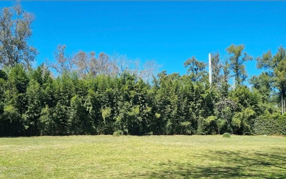 Terreno a la Venta en La Lonja, Pilar 5